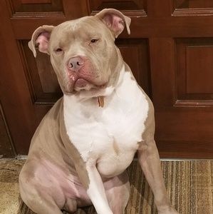 Meet your Posher, Ed